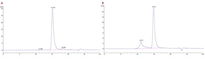 The purity of ACROBiosystems Human LAG-3, Fc Tag (Cat.No.LA3-H5255) is determined to be greater than 94% (A) , while the purity of a comparable product from company R is determined to be greater than 76% (B). The purity of ACROBiosystems Human LAG-3, Fc Tag (Cat.No.LA3-H5255) is determined to be greater than 94% (A) , while the purity of a comparable product from company R is determined to be greater than 76% (B).