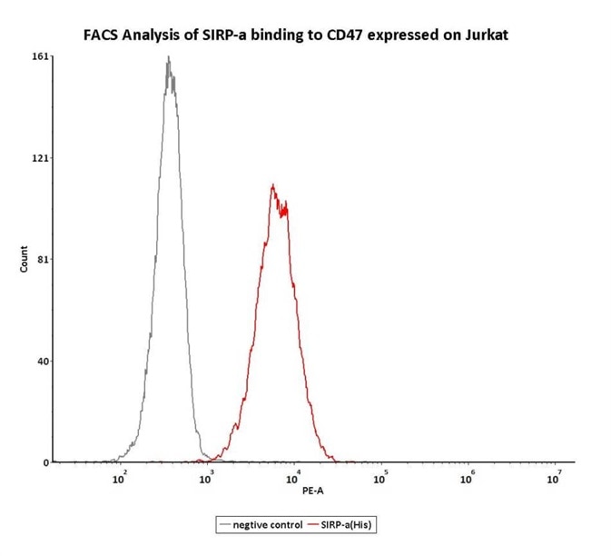 FACS assay shows that recombinant Human SIRP alpha, His Tag (HPLC-verified) (Cat.No.SIA-H5225) can bind to Jurkat cell expressing CD47.The concentration of SIRP alpha used is 1 ug/ml (Routinely tested).