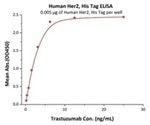 Targets for Biosimilar Drugs