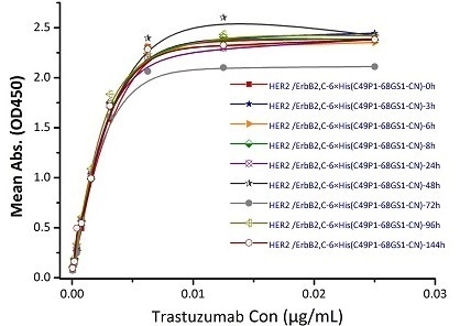 Immobilized Biotinylated Human Her2, His Tag (Cat. No. HE2-H822R) at 0.05 μg/mL (100 μL/well) can bind Trastuzumab. The result shows that the Biotinylated Human Her2, His Tag (Cat. No. HE2-H822R) is stable at 37℃ for 144 hours without performance reduction.