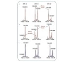 Unambiguous Identification of Natural Products Using a Mass Spectrometer