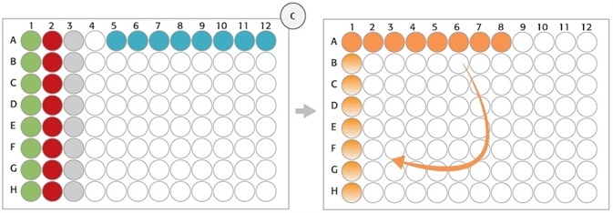 (C) Strip rack layout (position 8, deck layout day 1): After digestion of gDNA (step 1), Enzyme Strips (red and green), RE-Mastermix Strip (grey), and DNA template Strip (blue) are discarded and replaced by Hybridization Strip (orange). For hybridization, DNA samples were pooled in Hybridization Strip (orange). The Strip was rotated manually (light orange) before adding the HaloPlex ION Barcode Primer Cassette.
