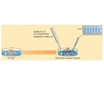 Using Small Molecules to Improve Stem Cell Workflow