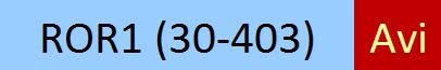 RO1-H821y-STC1
