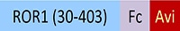 RO1-H82F4-STC1