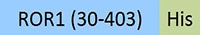 RO1-R5221-STC1