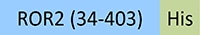 RO2-H52E5-STC1