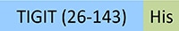 TIT-M52E6-STC1
