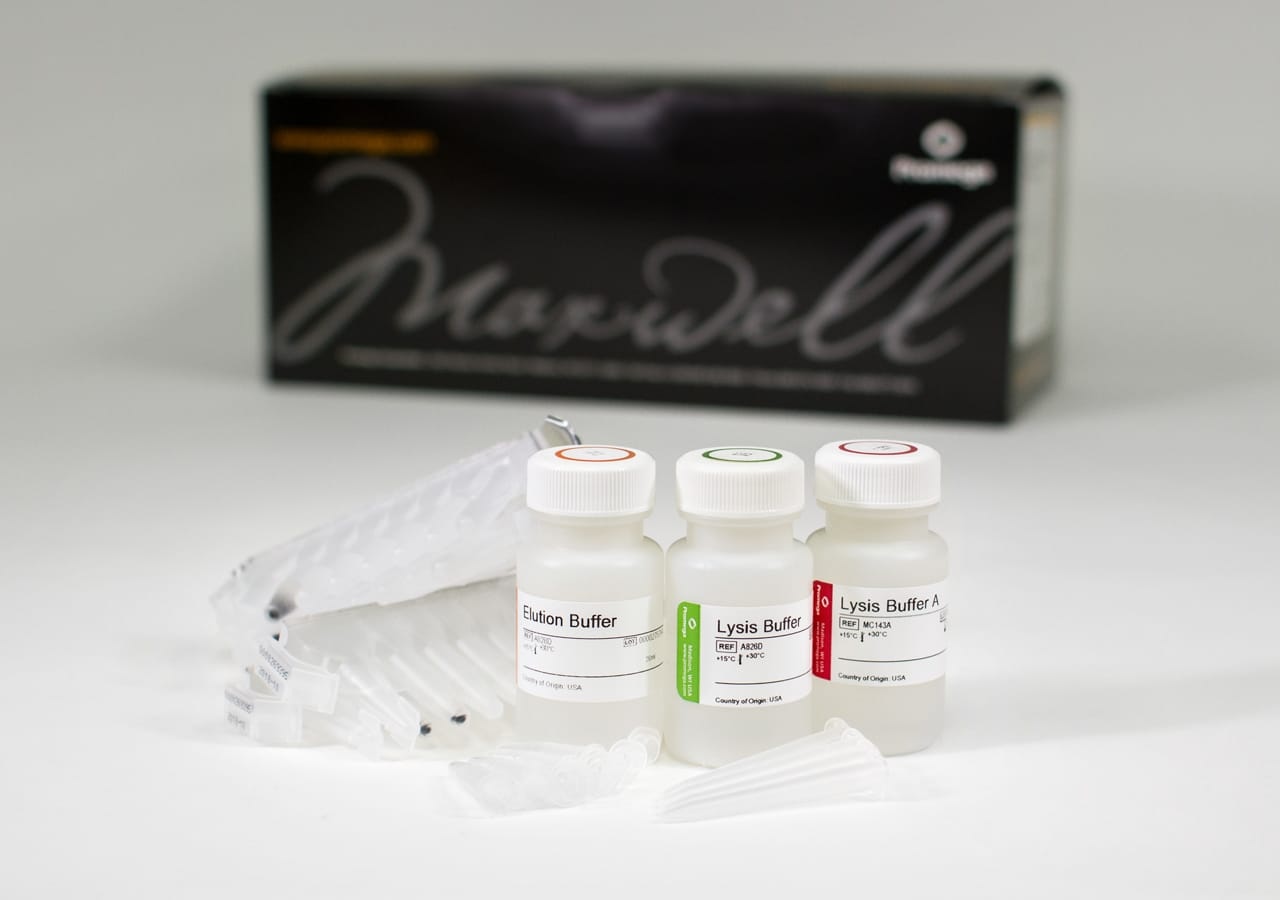 Maxwell RSC Assays