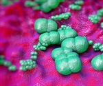 Can Probiotics Prevent or Treat Acne?