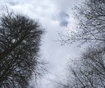Seasonal Affective Disorder (SAD) Causes, Symptoms and Diagnosis