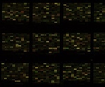 Nanoarrays vs Microarrays