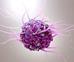 What is the Cellular Microenvironment?