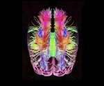 Unraveling the molecular mechanisms of disease-causing mutations