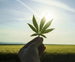 Cannabis, Alcohol and the Epigenome