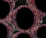 What is E-FRET Imaging?
