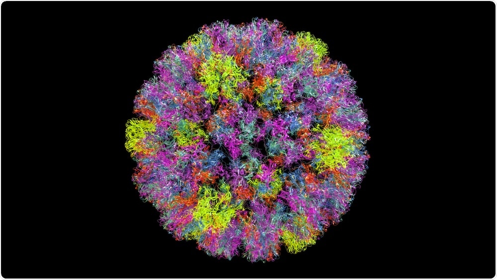 HPV can affect both men and women