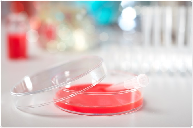 Scientists can study and manipulate the cellular microenvironment using 2D and 3D cell cultures