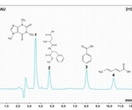 Presenting GC-MS Results in a Publication