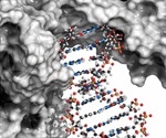Why are Host Cell Proteins (HCPs) Dangerous in Biopharmaceuticals?