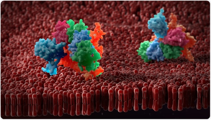 The amino acids that form the basis of proteins can form motifs, which are often studied by scientists trying to assign a function to a protein
