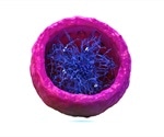 Single-Nucleus RNA Sequencing (sNuc-seq) Applications