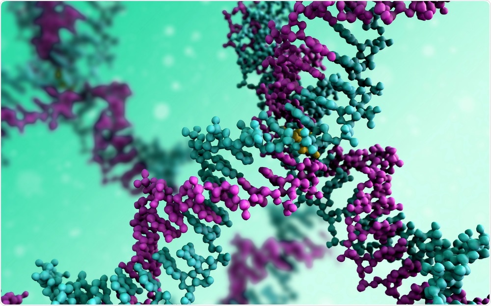 DNA