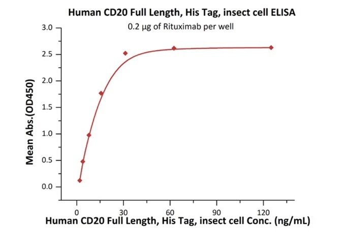Immobilized Rituximab at 2 μg/mL (100 μL/well) can bind Human CD20 Full Length, His Tag, Insect cell (Cat. No. CD0-H55Ha) with a linear range of 1–16 ng/mL. Immobilized Rituximab at 2 μg/mL (100 μL/well) can bind Human CD20 Full Length, His Tag, Insect cell (Cat. No. CD0-H55Ha) with a linear range of 1–16 ng/mL.