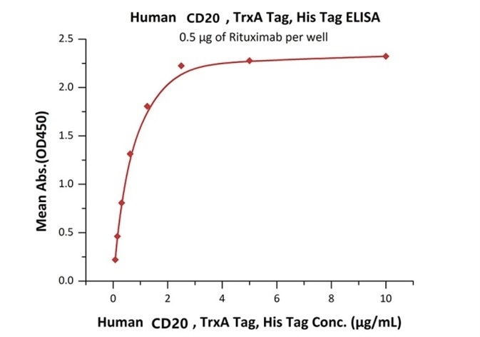 Immobilized Rituximab at 5 μg/mL (100 μL/well) can bind Human CD20, TrxA Tag, His Tag (E. coli) with a linear range of 78–2500 ng/mL. Immobilized Rituximab at 5 μg/mL (100 μL/well) can bind Human CD20, TrxA Tag, His Tag (E. coli) with a linear range of 78–2500 ng/mL.