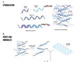 Simplifying Gene Expression Analysis in Neuroscience Research