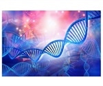 New Chromatrap ChIP-seq kit performs chromatin immunoprecipitation with unparalleled sensitivity
