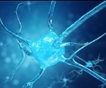What is Connectomics?