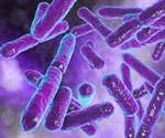 Gut bacteria and pregnancy