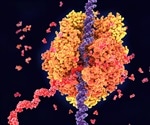 What are Enhancer RNAs (eRNAs)?
