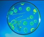 PAA to showcase award-nominated S-LAB plate handler at SLAS 2019