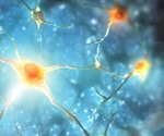 What is Neurophysiotherapy?