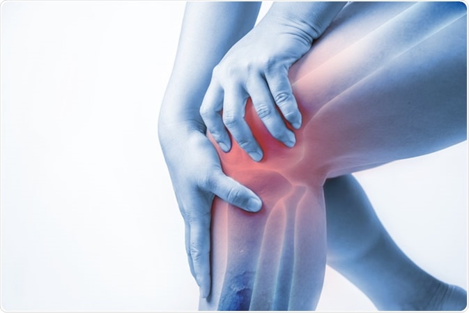 Image Credit: Kamomeen / Shutterstock