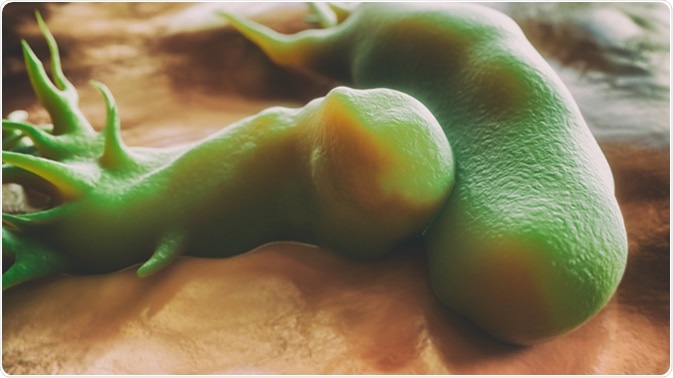 Campylobacter jejuni bacteria under scanning electron microscope - Credit: Crevis / Shutterstock