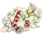 Measuring Low Concentration in Protein Lysozyme