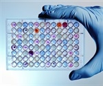 Psychedelic and non-hallucinogenic drugs promote neuroplasticity through shared pathways