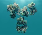 Characterization of antibodies targeting ASO modifications for intracellular trafficking