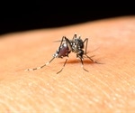 Unraveling the mysteries of post-acute infection syndromes