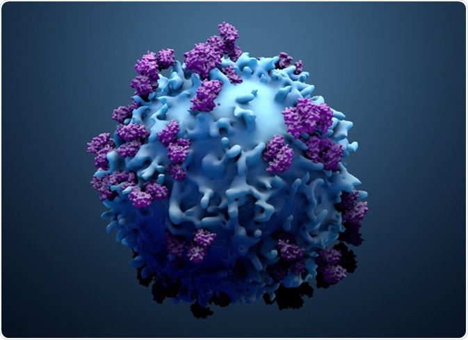T-cells are part of the adaptive immune response and undergo metabolic changes in response to a stimulus, such as an invading pathogen.