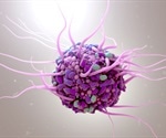 Human Cell Line Authentication by STR Profiling