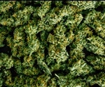 Microextraction gets an eco-friendly makeover in new cannabis study