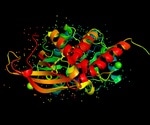 Protein Crystallization Screening