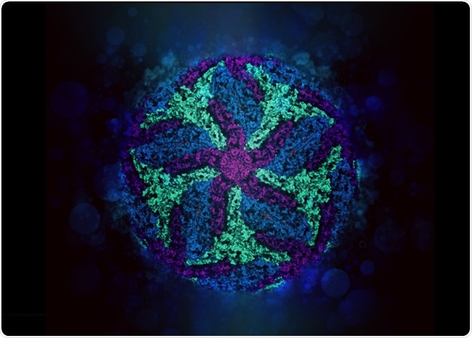Zika virus. Atomic level structure, determined by cryo-EM