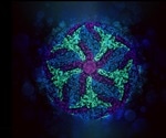 Single-particle Cryo-EM Principles & Uses