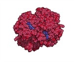 Applying Nanomechanics to Biology