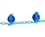 Understanding Synthetic Epigenetics